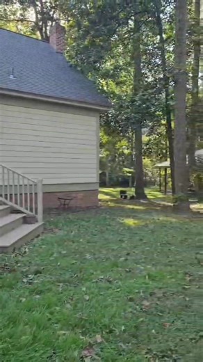 ✨ 1-Bedroom Apartment Retreat – All Utilities Included!✨ Tucked away down a long, gorgeous driveway surrounded by peaceful woods, this spacious 1-bedroom, 1-bath apartment offers both privacy and convenience — just minutes from Sussex Bayhealth Hospital, downtown Milford, and reasonable distance from Kent General Hospital. 🛏 1,200 sq ft of comfort featuring: • Open, spacious living area • Full kitchen with appliances included • Washer and dryer included • Oversized bathroom with double sink van