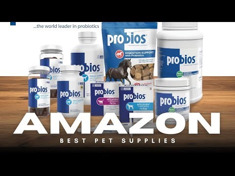 Probios Digestive Support Probiotic 🐾🦠 | Improve Gut Health in All Species!
