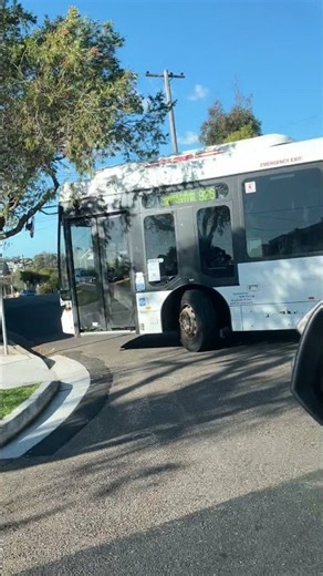 bus get stuck behind the tree near my house and nearly mounted the curb