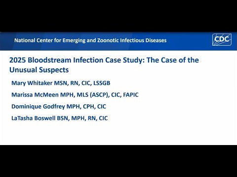 BSI Case Study: Teamwork Makes the Dream Work