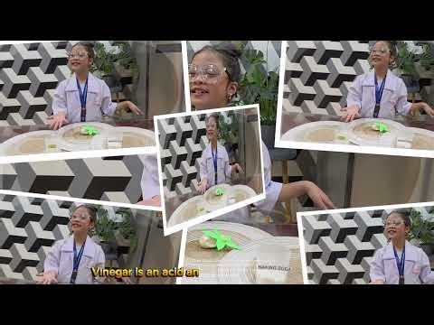 Science Experiments | Grade 3 Fruit Inflating Balloons