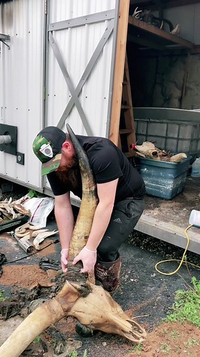 skullman2820 on TikTok