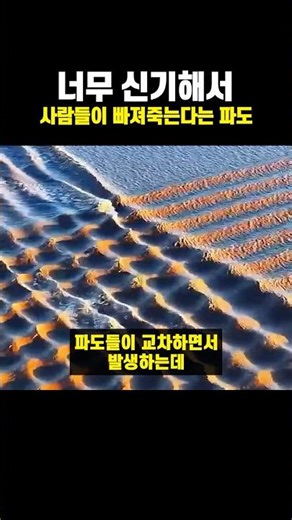 Waves so fascinating that people drown in them