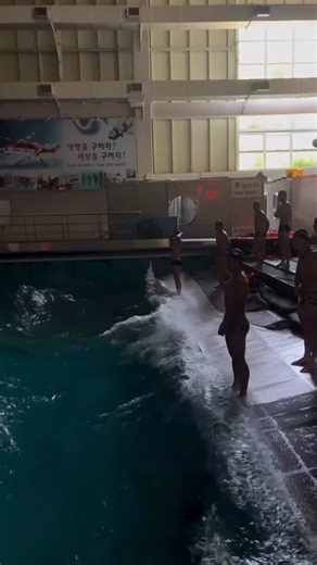 Swimming Universe on Instagram: "Could you swim here ? 🌊"