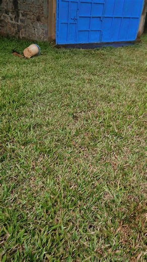 Eco-Friendly Solar Powered Lighting Solutions