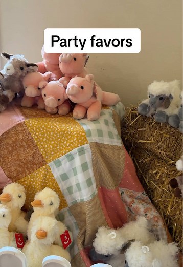 Adorable Farm Birthday Party Ideas and Favors