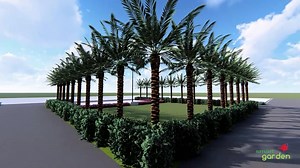 Landscape Plan Use Special Shaped Desi Local Date Palms . Contact us if you want to make beautiful, well planning landscape design and implemented by a professional and well experienced team . Call / Whatsapp 8801717912582 | Smart Garden