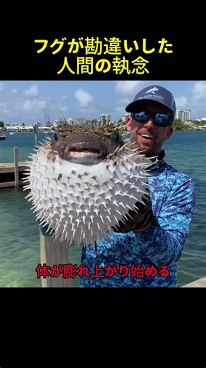 棘で守るはずだった生き物の誤算