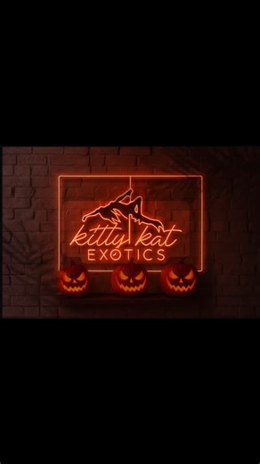 Exotic Dance & Ravewear on Instagram: "✨👑 Our Arabian Princess costumes have arrived — and they’re already a shop favorite! 🌙💃🏽 Step into your royal fantasy this Halloween and discover all our custom, handmade costumes — in-store or online at www.KittyKatExotics.com 🧞‍♀️💫🎃 #princess #princessjazmin #bellydancer #arabianprincess #bottlegirl #dcnightlife #washingtondc #dmvdancers #dmv #explore #halloween #halloweencostume #halloweenweekend #dmvbartenders #exoticdancewear #bartender #dc #par