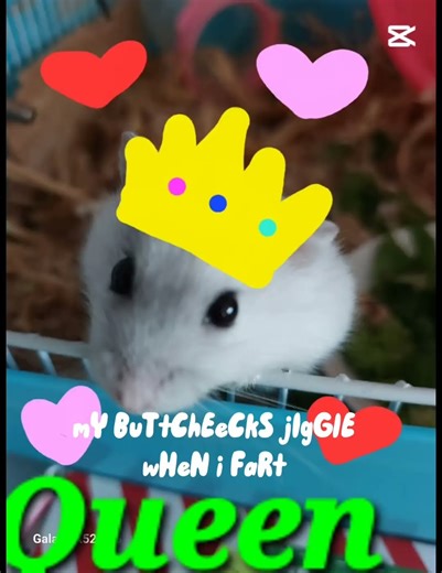 💛She put my name in yellow hearts💛@