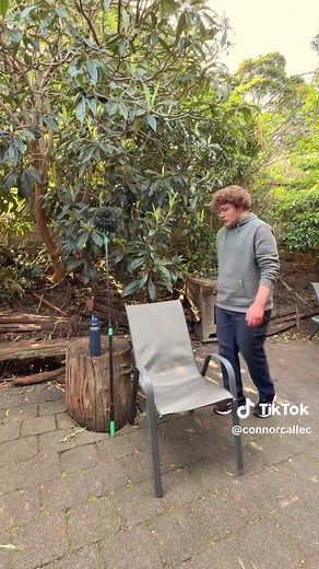 The ADHD Experience: Understanding ADHD Struggles and Brain Function