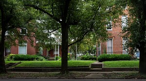 Can I trim my neighbor's tree if it encroaches on my property? What Kentucky law says