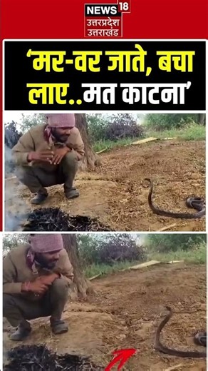 MP Man Snake Viral Video: ठंड से बचाते युवक का सांप से बातचीत | Bhind Viral Video |N18S
