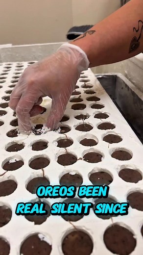 193K views · 1.6K reactions | Tag @oreo we can show them our creation! 朗 #herculescandy #syracuseny #candy #asmr | Hercules Candy Co | Facebook