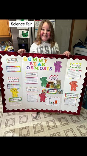 Science Fair Project- Gummy Bear Growing #sciencefair #sciencefairproject #science #gummybearlab #schoolproject #5thgrade