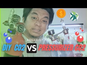 DIY CO2 vs PRESSURIZED CO2 for PLANTED TANKS [COST COMPARISON and PROS & CONS]