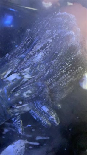 Aloe Vera Hair Treatment for Healthy Growth