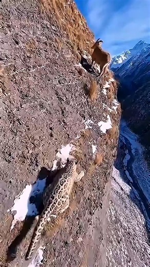 Go Fan AI on Instagram: "Japan is turning footsteps into electricity using piezoelectric tiles. Every step creates a small amount of energy, and millions of steps together power LED lights and digital systems-supporting a more sustainable urban future. 🌳 #Japan #FutureTechnology #RenewableEnergy #SmartCity #Innovation #forestry 🌿"