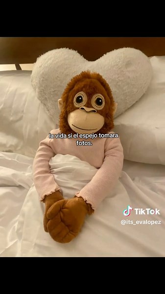 🙂 #apoyo#parati#tiktokviral #pinchetiktokponmeenparati | glass reflection photo