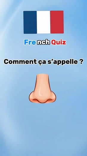 Learn Body Parts in French: A Complete Beginner's Guide