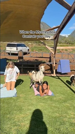 NEW VIDEO!!! When the Mystery Box controls you’re day…🎁