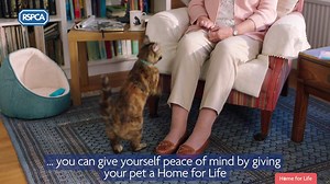 160K views · 355 reactions | We'll be there for your pet when you can't be. Find out more about giving your pet a Home for Life. | RSPCA (England & Wales) | Facebook