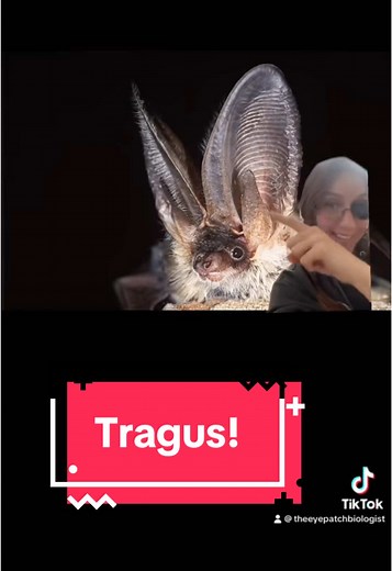 I get some questions a lot, and have already made a video about it. Been asked this again recently, so heres the vid I made a while back! #onthisday