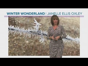 What's the difference between rime ice and hoarfrost? Rachel Garceau explains