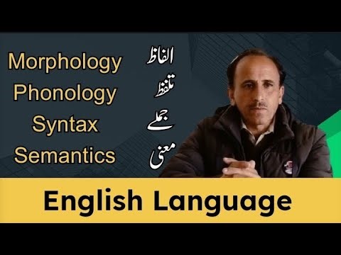 Understanding Morphology, Phonology, Syntax & Semantics