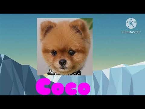 Coco Logo