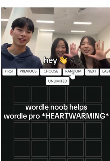 Wordle Game Fun: Noob Meets Pro