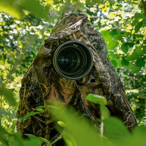 4.1K reactions · 219 shares | A Masterclass in Wildlife Photography!...