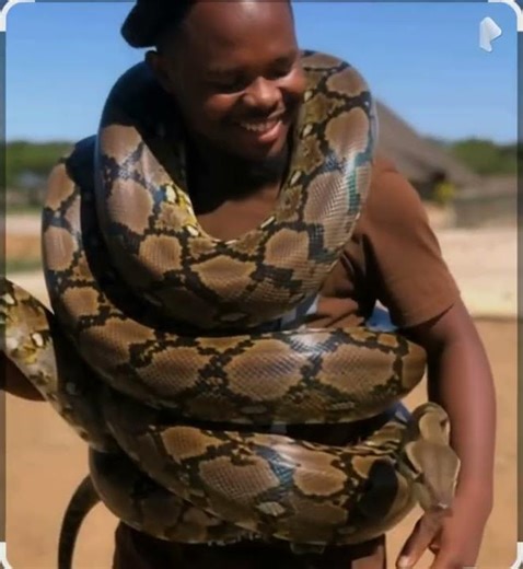 but people don't know the deferences between snakes and python #germany #python #snake
