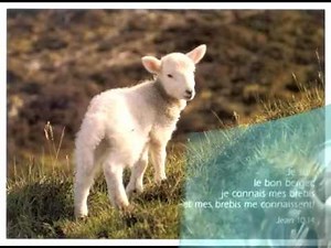 Stéphane Query - Combien Dieu est Grand