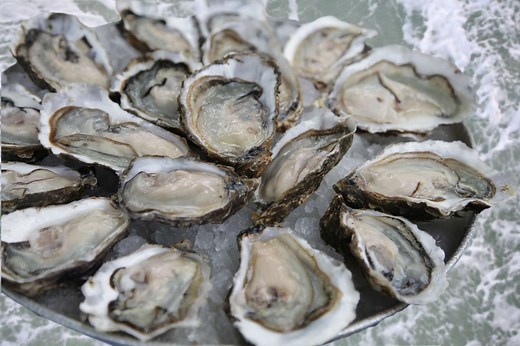 Flesh-Eating Bacteria in Saltwater and Oysters Linked to Several Deaths, Here's What You Need to Know