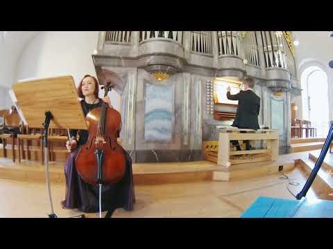 Calm & Beautiful Cello Music | 1 Hour Classical Concert for Relax & Inspiration