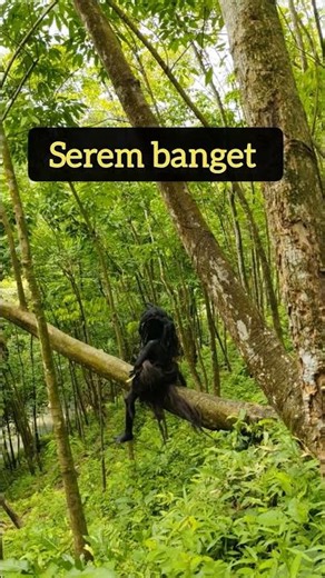 terlihat menyeramkan #sukumante #sukumanteasli #sukumantecantik #serem #makhlukaneh #makhlukbumi