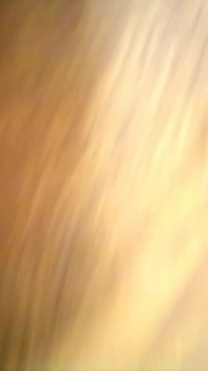 Jacqueline Lee brooks (@jackieleebrooks)’s videos with I Love You Baby! Mua...! - Elle Fun