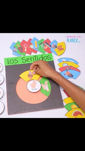 116K views · 1.6K reactions | Los órganos de los sentidos #sentidos #cuerpohumano #body #vista #primaria #anatomía | Aprende con Nanix | Facebook