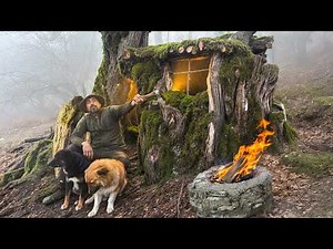Living Inside a Hollow Tree | Bushcraft Shelter, Fire Cooking & Survival Skills