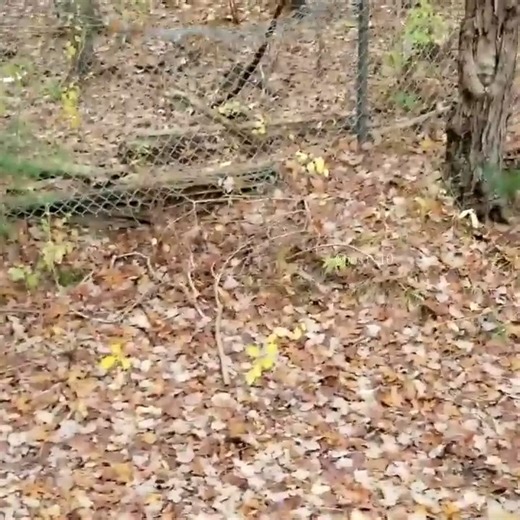 5.4K views · 73 reactions | Part 2 Lake Drain Culvert Collapsing, Causing Sinkhole Flood Hazard | Post10 | Facebook