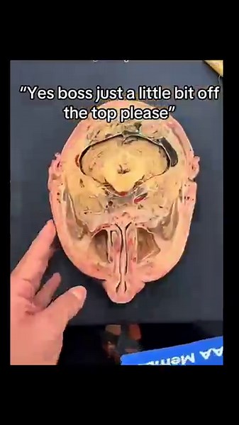 memes i stole part: 223