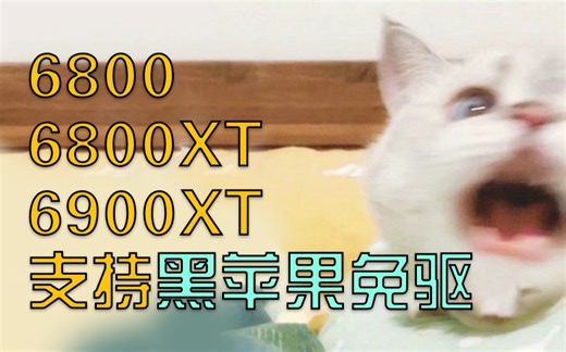 RX6000系列支持黑苹果免驱了，6800/6800XT/6900XT全面支持黑苹果