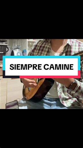 Técnicas para Tocar la Mandolina sin Lesiones