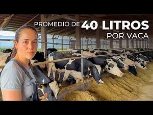 VETERINARIA LIDERA TAMBO LECHERO CON PROMEDIO DE 40 LITROS