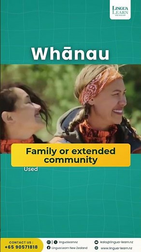 Te Reo Lessons Celebrity Treasure Island Edition