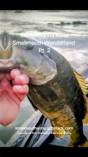 Smallmouth Bass Kayak Fishing Susquehanna River Harrisburg Area Access #kayakfishing #riverfishing