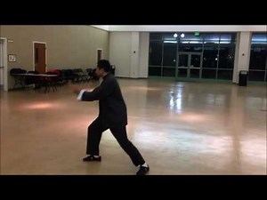 Tai Chi Fast Set Yang Style