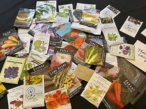 A glossary to help cut through seed-packet jargon and confidently plant indoors