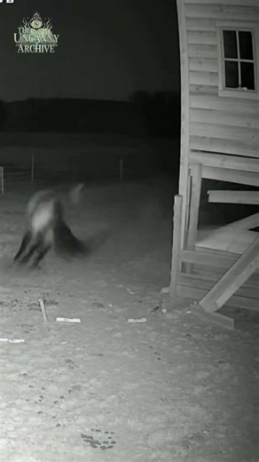 Ghost Throws Horse Through Barn Wall! 😳 #paranormal #shorts